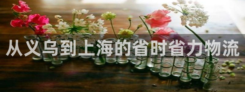 28圈正规吗：从义乌到上海的省时省力
